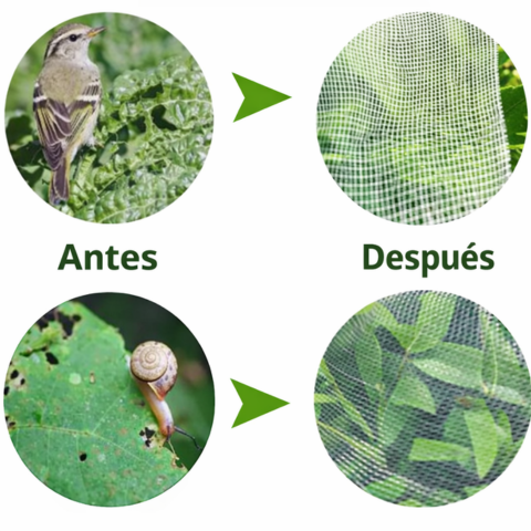 Bolsas de malla transpirables reutilizables para la protección de frutas y verduras – Protege contra insectos, moscas de la fruta y pájaros
