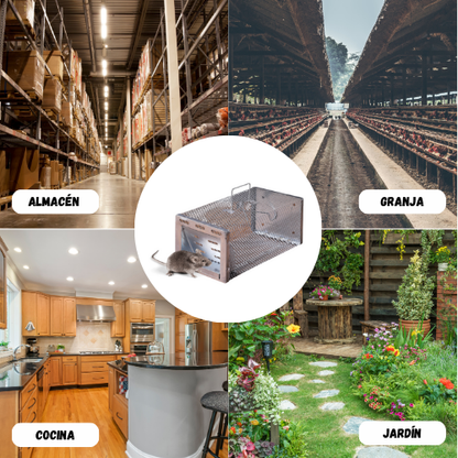 BestSeller™ - Trampa de jaula humanitaria para capturar ratas, ratones y ardillas vivas