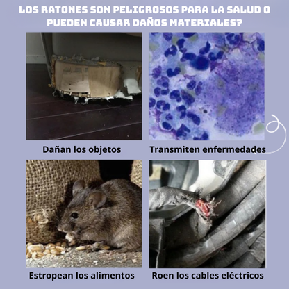 Jaula trampa humanitaria para capturar ratones y ardillas vivos