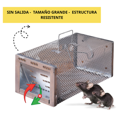Jaula trampa humanitaria para capturar ratones y ardillas vivos
