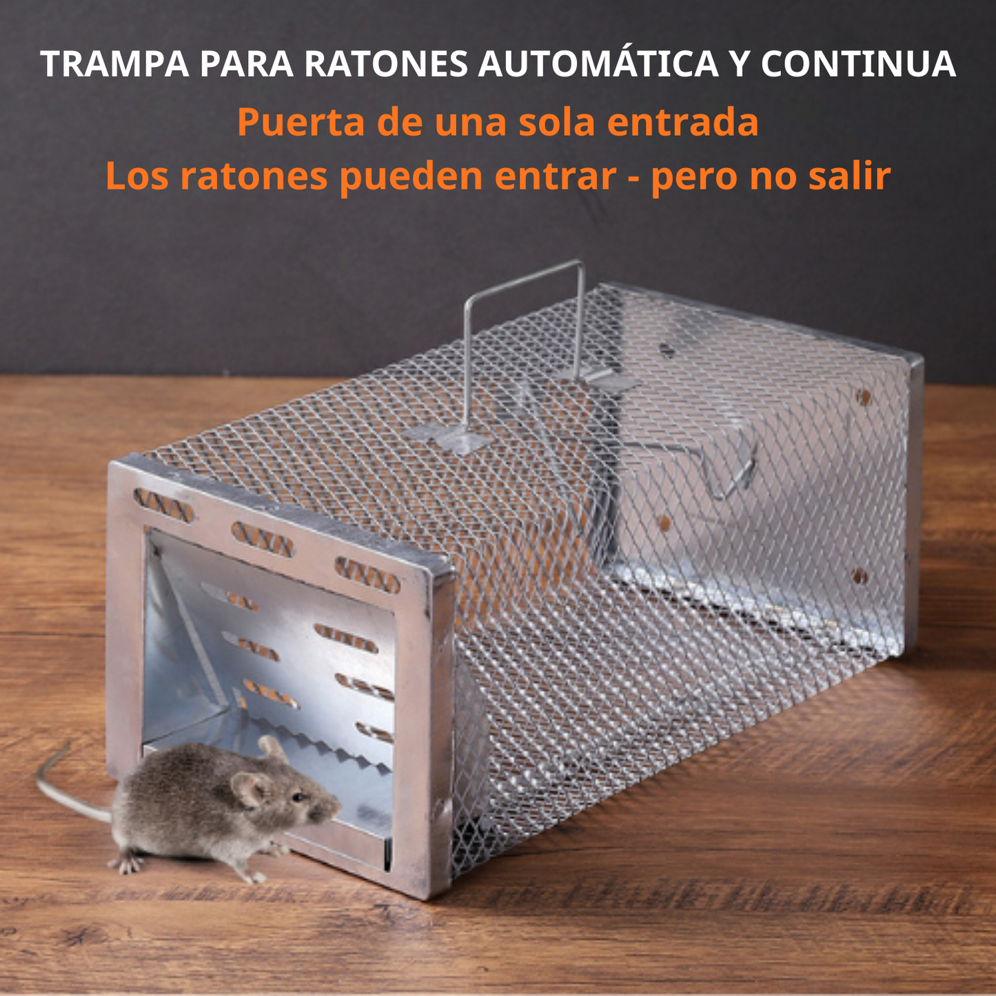 Jaula trampa humanitaria para capturar ratones y ardillas vivos