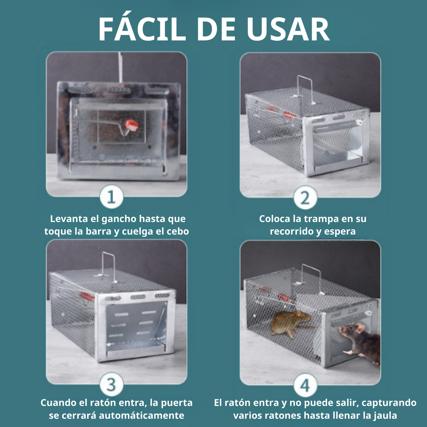 Jaula trampa humanitaria para capturar ratones y ardillas vivos