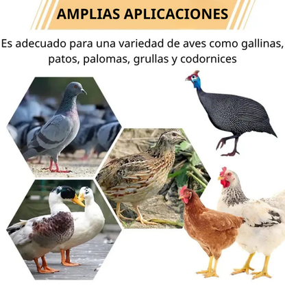 Comedero automático para gallinas y patos, compatible con todo tipo de cubetas – incluye broca y sierra de corona