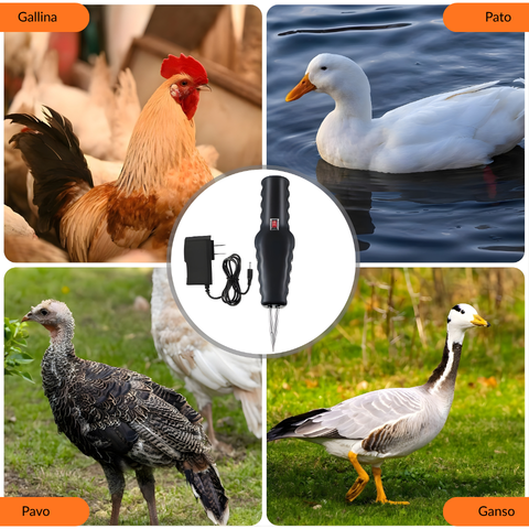 Desplumadora portátil para aves – elimina todas las plumas en pocos minutos