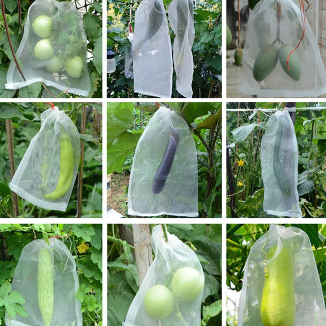Bolsas de malla transpirables reutilizables para la protección de frutas y verduras – Protege contra insectos, moscas de la fruta y pájaros