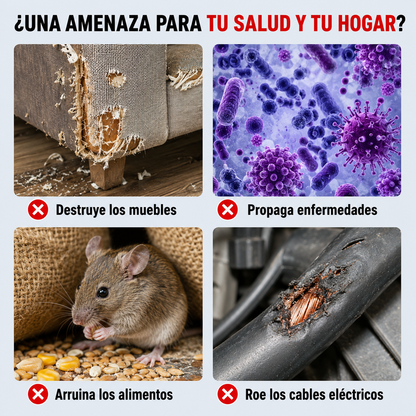 BestSeller™ - Trampa Humanitaria de Captura Viva para Ratas, Ratones y Ardillas
