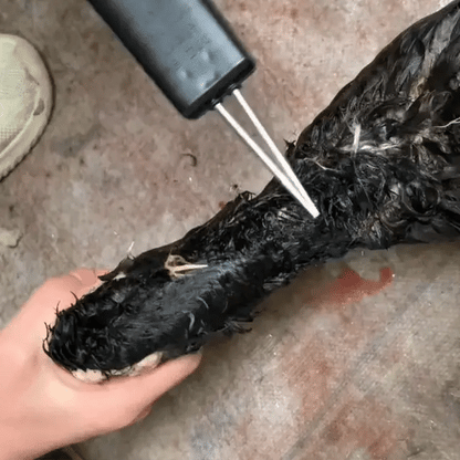 Desplumadora portátil para aves – elimina todas las plumas en pocos minutos
